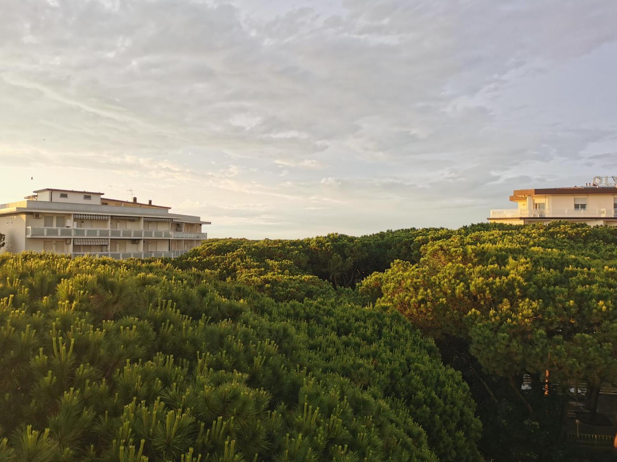 Hotel Pine Beach Rosolina Mare Exterior foto